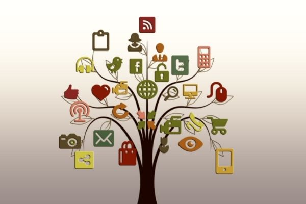 Arbre montrant les différentes réseaux sociaux