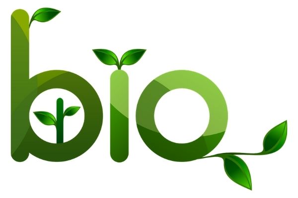 Bio
