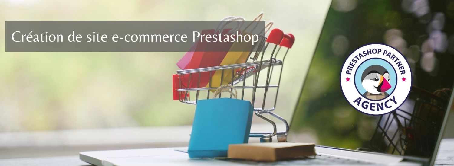 creation site ecommerce Prestashop Etowline