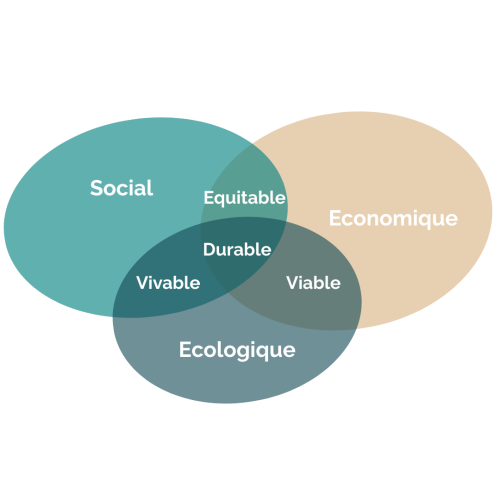 Design Stratégie RSE Etowline (1)