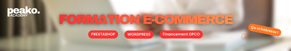 formation e-commerce