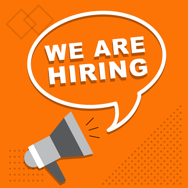 emploi ecommerce etowline